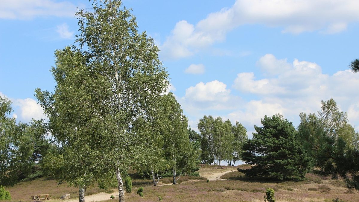 Süderheistedt