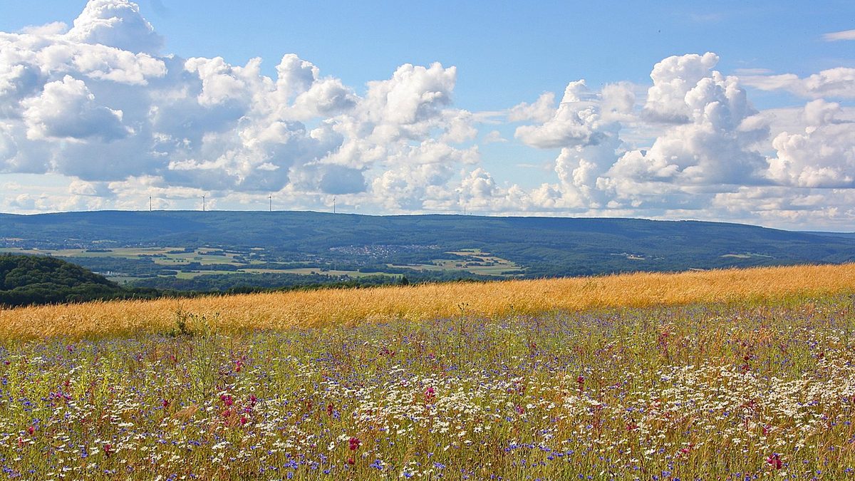 Gersheim