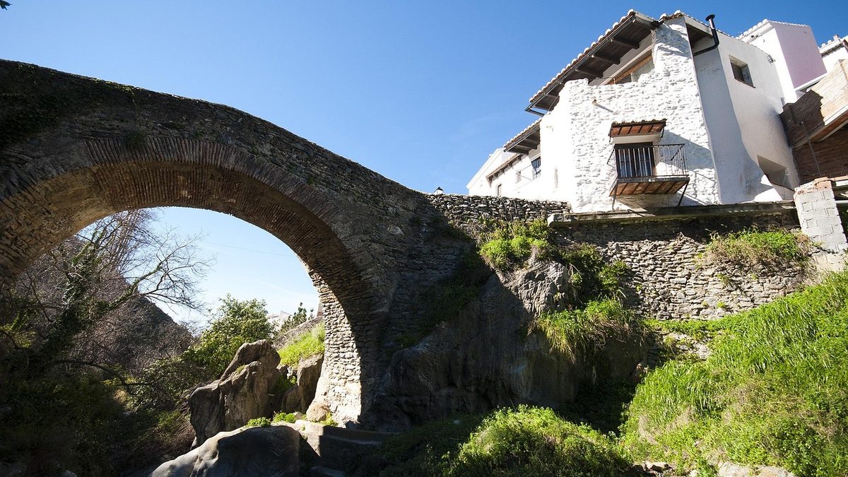 Salares