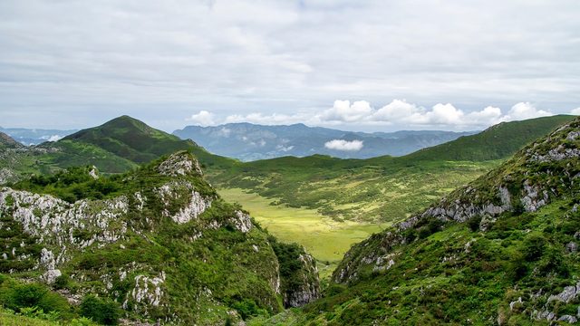 Tolosa
