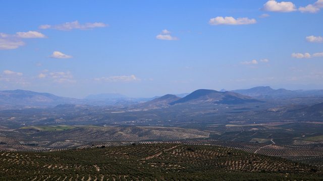 La Zubia