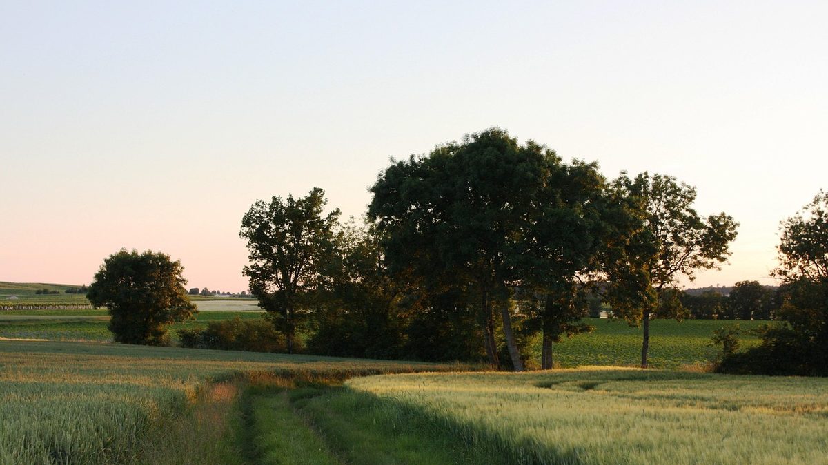 Barbezieux-Saint-Hilaire