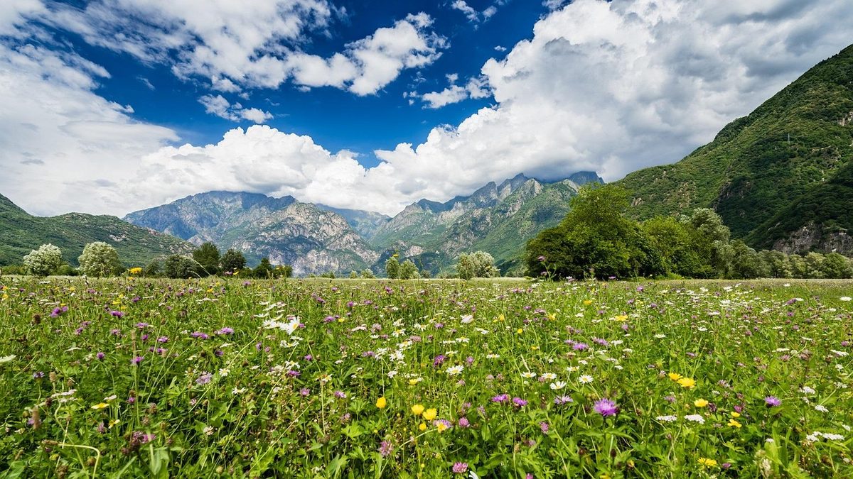 Montagna in Valtellina